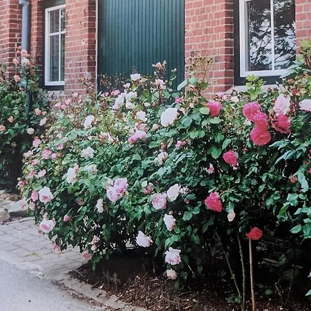 Swanen Hus Apartmán *